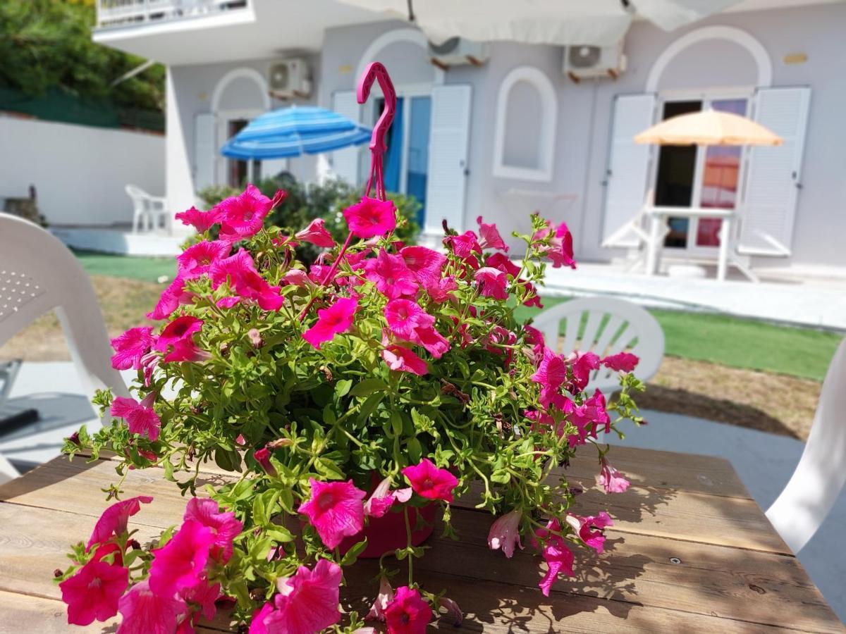 Leta Apartments Agios Georgios  Dış mekan fotoğraf